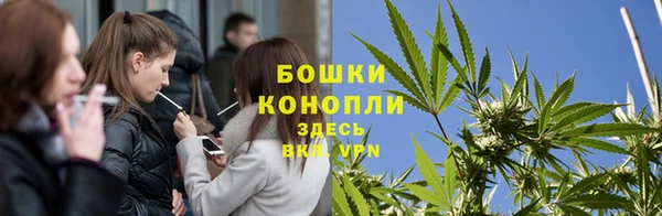 каннабис Корсаков