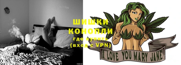 крисы Костерёво