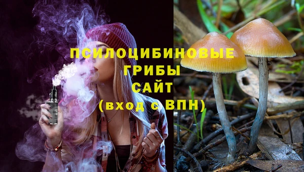 крисы Костерёво