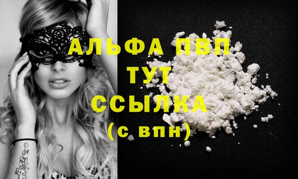 шишки Коряжма