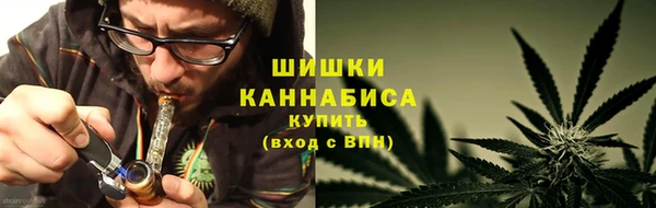 шишки Коряжма