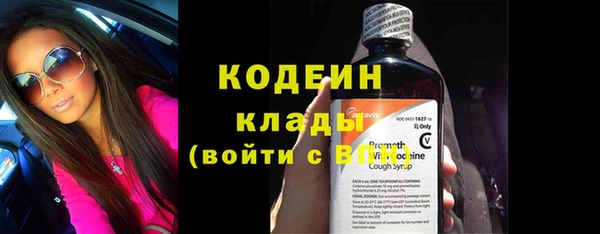 шишки Коряжма