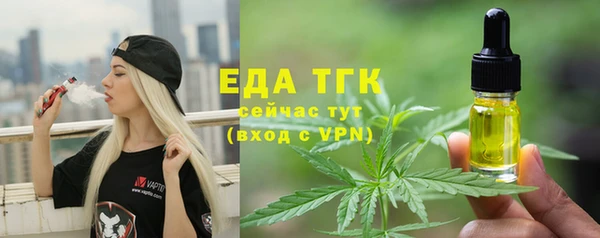 шишки Коряжма
