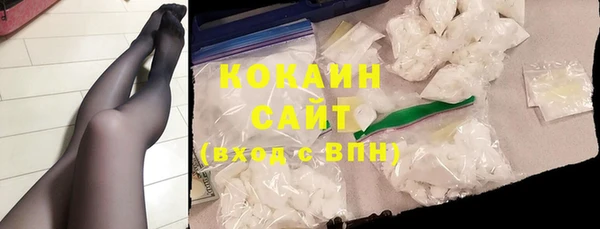 шишки Коряжма