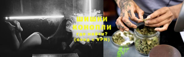 шишки Коряжма