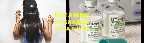 шишки Коряжма