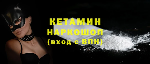 шишки Коряжма