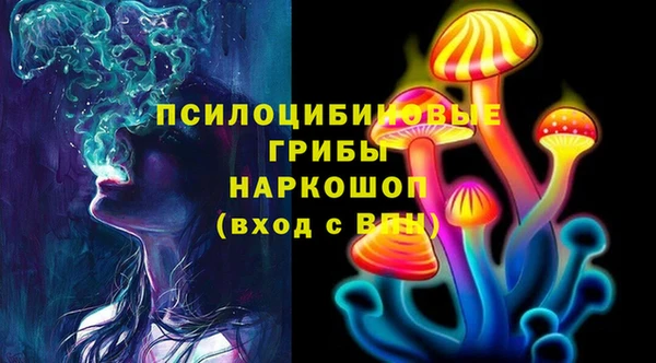 шишки Коряжма