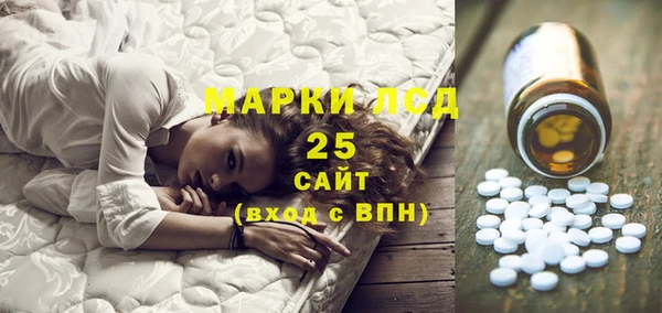 шишки Коряжма