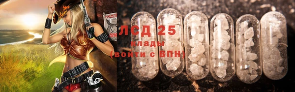 шишки Коряжма