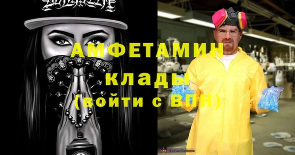 шишки Коряжма