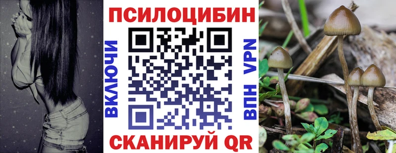 Купить где  Зарайск  Галлюциногенные грибы Cubensis 